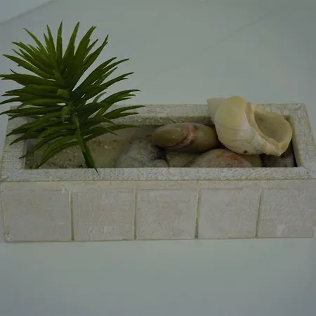 Nordseehaus Op'n'diek *