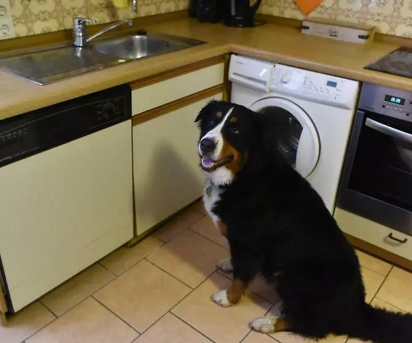 Tatil Evi Nordseehaus Op'n'diek